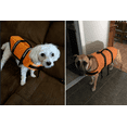 thumbnail image 2 of Dog Life Jacket Easy-Fit Adjustable Belt Pet Saver Swimming Safety Swimsuit Preserver with Reflective Stripes for Doggie, 2 of 6