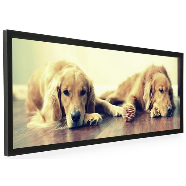 Displays2go Set of 2 24" x 8" Panoramic Photo Frame for Wall Mount