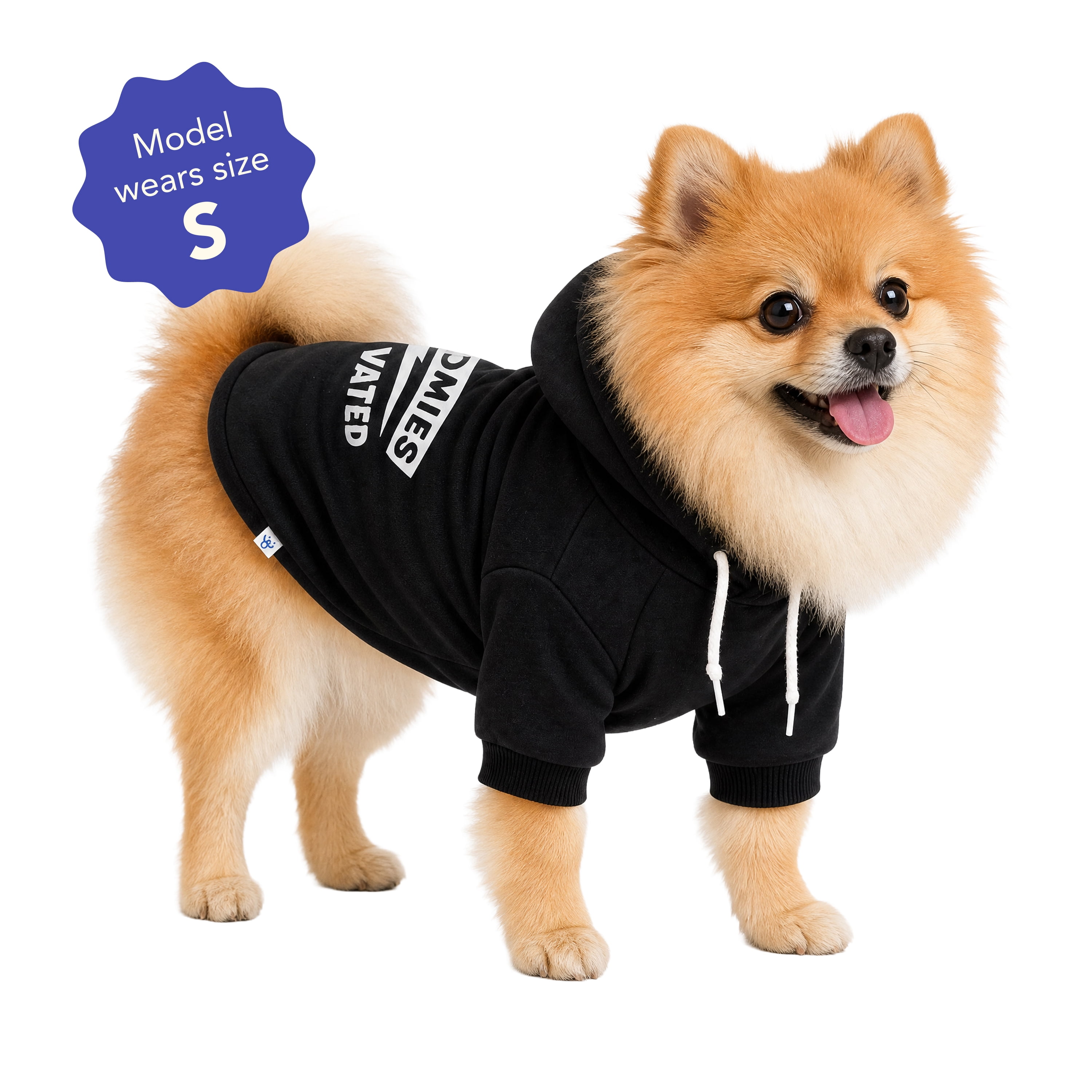 Oodles Zoomies Activated Fall Dog Hoodie, Black, Small