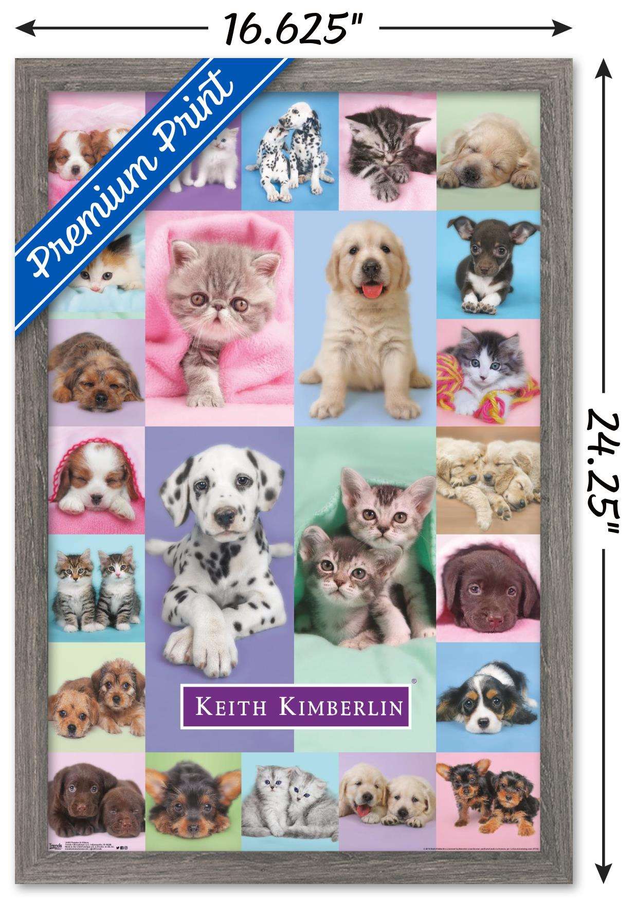 Keith Kimberlin - Puppies and Kittens Wall Poster, 14.725" x 22.375", Framed