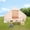 Beige-4 Person Tent, variant on Inflatable Camping Tent with Window & Pump & Stove Jack, Glamping Tents 4 Seasons Waterproof Windproof, Easy Setup Oxford Blow Up Tent for Outdoor