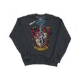 thumbnail image 1 of Harry Potter Boys Gryffindor Sweatshirt, 1 of 5