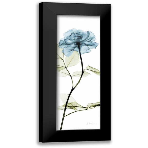 Koetsier, Albert 7x14 Black Modern Framed Museum Art Print Titled - Long Blue Rose