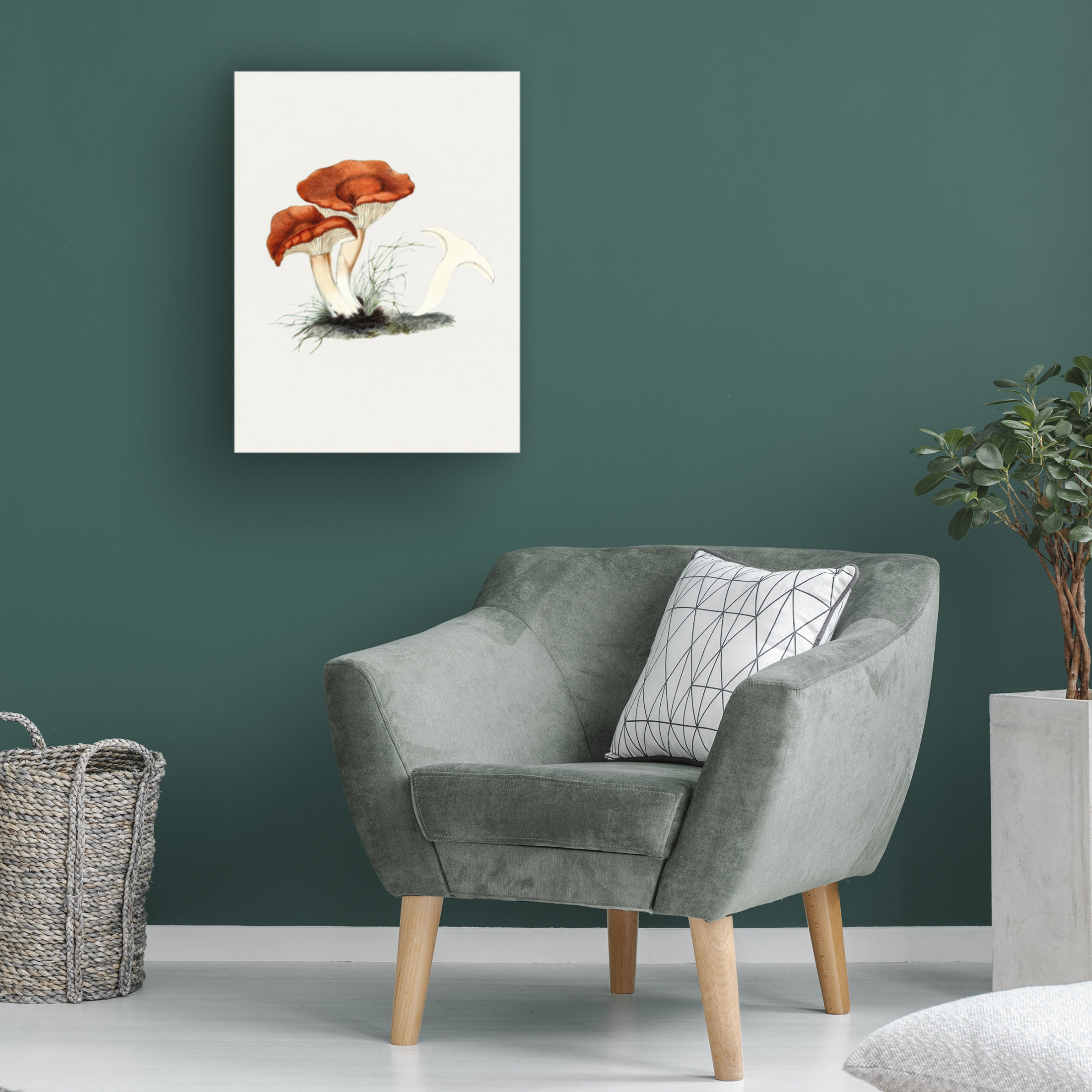 Trademark Fine Art Pictufy  Hand Drawn Rufous Milkcap Mushroom Canvas Wall Art