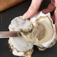 thumbnail image 5 of 1 Pcs Oyster Shucker, Stainless Steel Oyster Knife with Non-Slip Poly Handle, Seafood Opener Seafood Tools for Oyster Clam Scallop In Shell, White, 5 of 7
