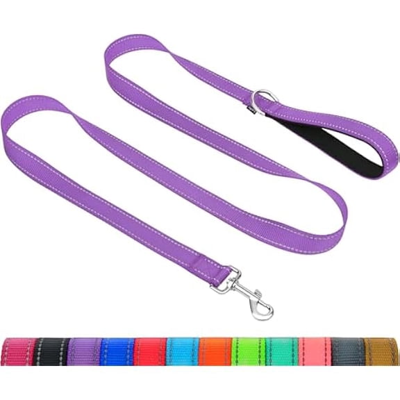 Eryueer Dog Leash for Small Dogs, Double-Sided Reflective Leash with Soft Neoprene Padded Handle, 3/4 inch by 5 ft, Fit Small Medium Large Breeds Under 20 lbs, Purple