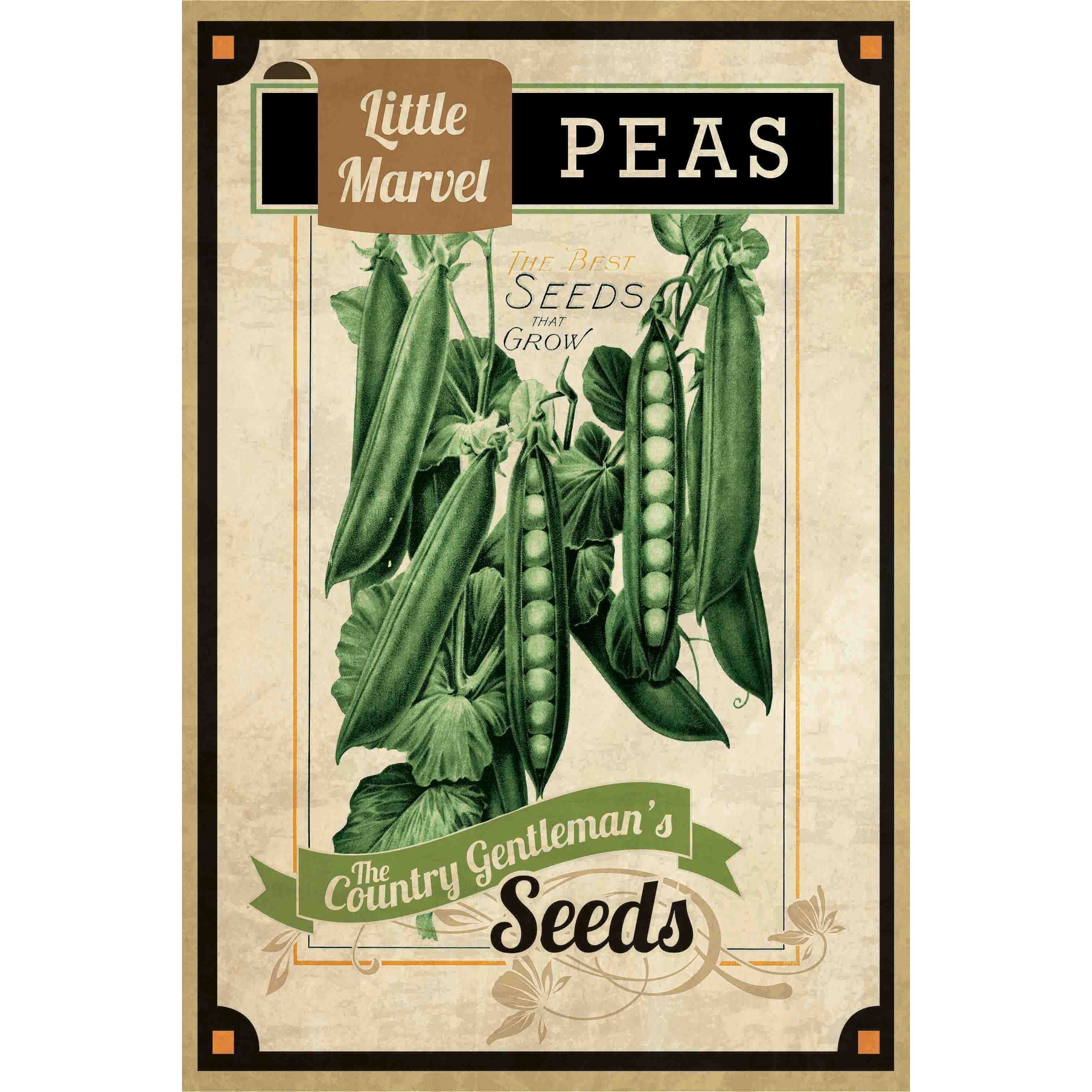 "Seed Packet Peas" Painting Print on Canvas