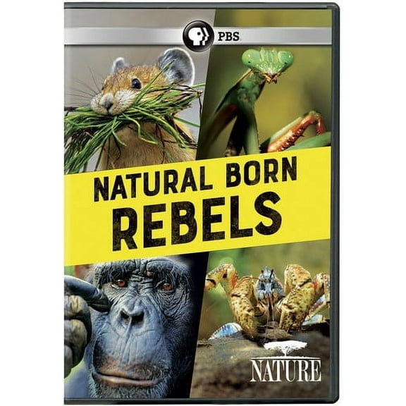 NATURE: Natural Born Rebels (DVD), PBS (Direct), Special Interests