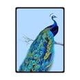 thumbnail image 1 of RYLABLUE Vintage Peacock Fleece Blanket Throw Blanket 58x80 inches, 1 of 1