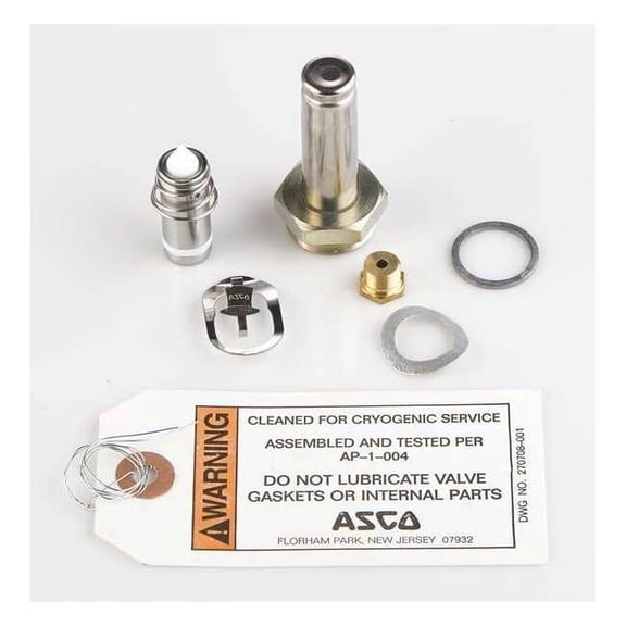 Asco Rebuild Kit 304062