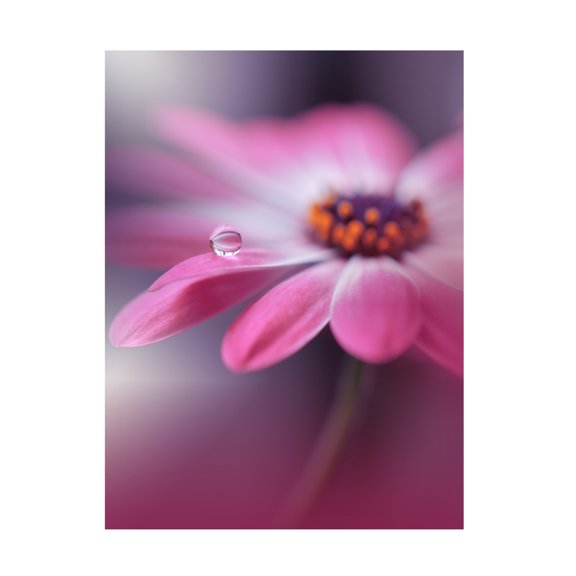 Trademark Fine Art Juliana Nan Echoes of Hope III Canvas Wall Art