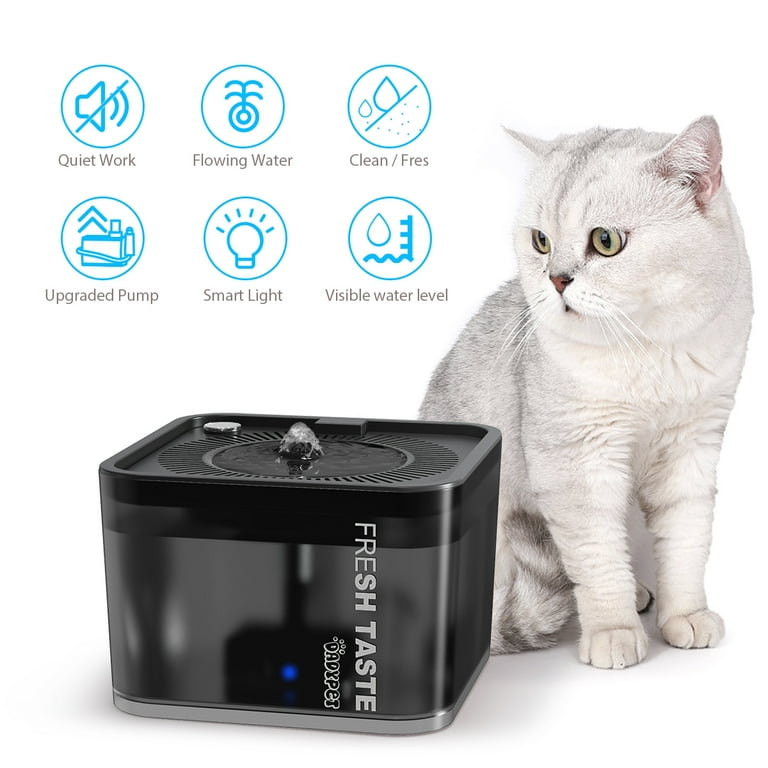 Dadypet sales water fountain