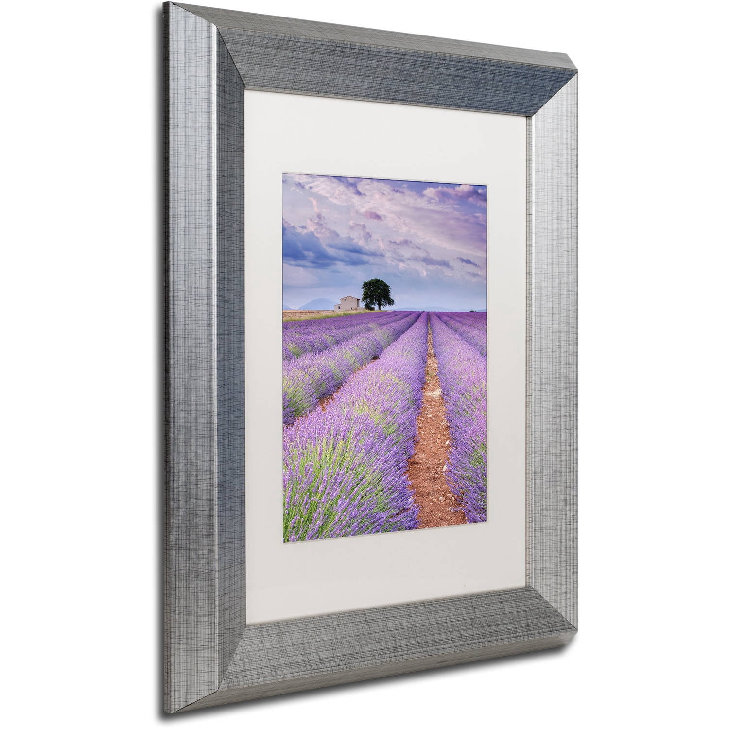 Trademark Fine Art "Rows Of Lavender" Canvas Art by Michael Blanchette Photography White Matte, Silver Frame