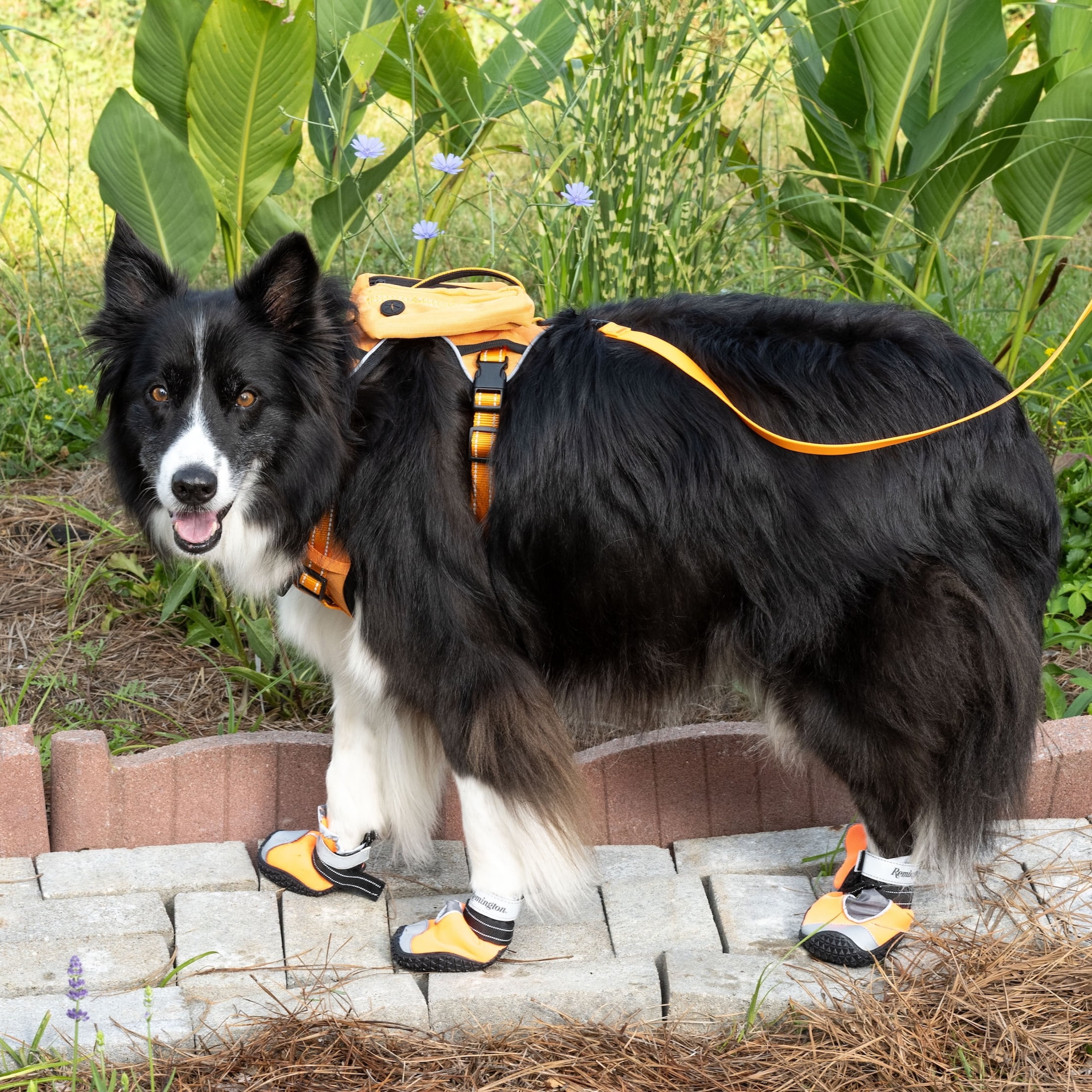 Remington Protective Pet Booties for Dogs, Orange, Size L, 4 Piece