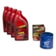 thumbnail image 1 of Kit Cambio De Aceite Tsuru Iii 1993 Nissan Multigrado, 1 of 1