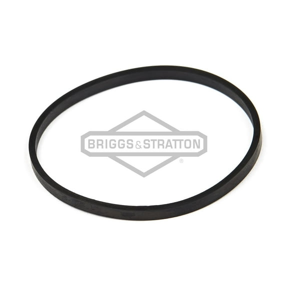 Briggs & Stratton OEM 796610  Gasket-Float Bowl