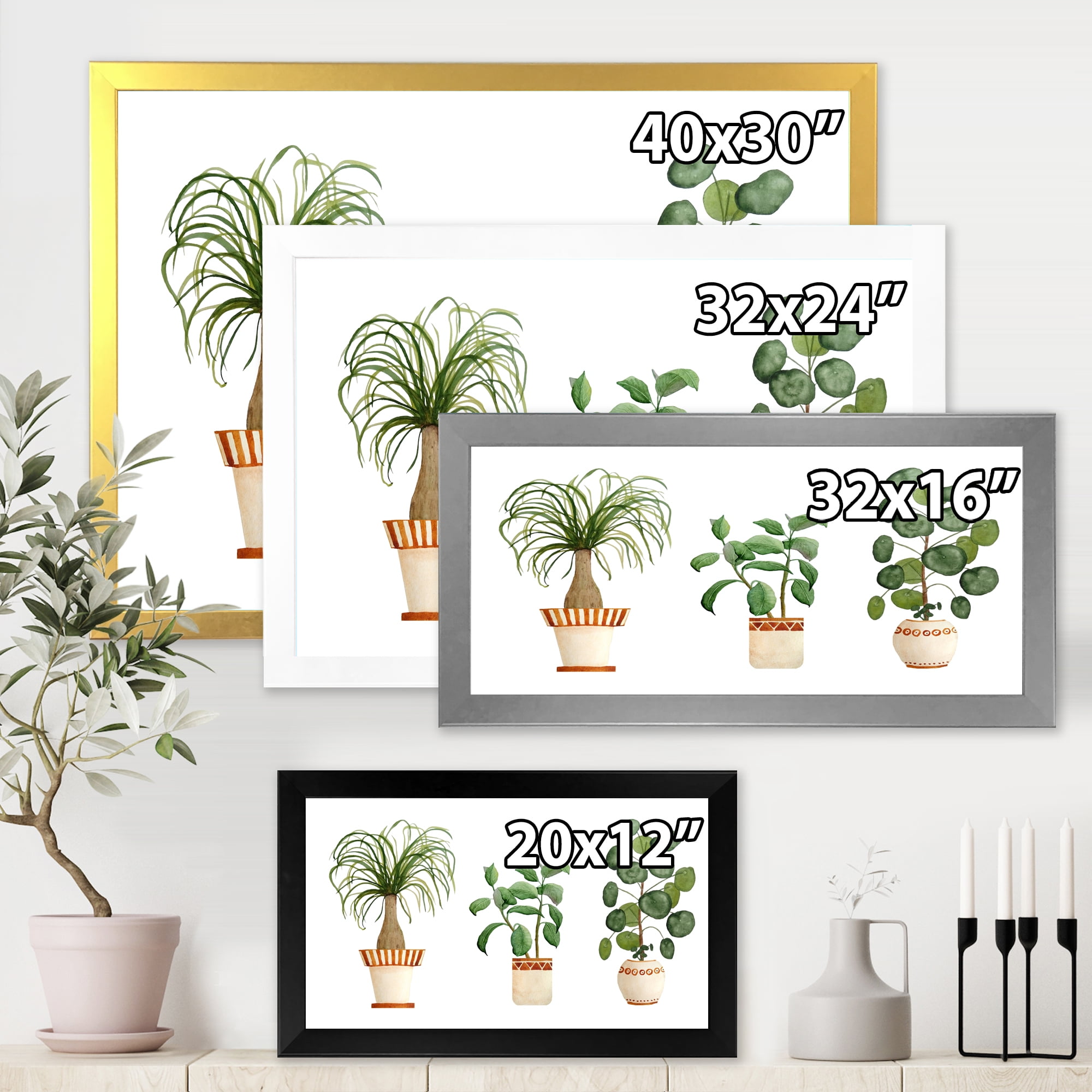 Designart 'Trio of House Plants Ficus Ponytail and Palm' Traditional Framed Art Print