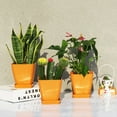 thumbnail image 4 of Nordic Style Square Flowerpot Solid Color Plant Container with Tray Office Decor, 4 of 10
