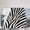 50x40, variant on Zebra Stripe Blanket Gift Throw Blanket Black White Animal Print Gift for Women Men Modern Home Decor 50x40