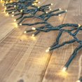 thumbnail image 1 of Party Ornaments Wedding Decor Christmas Cluster Lights LED 5.5 ft Green Wire Plug In Warm White, 1 of 4