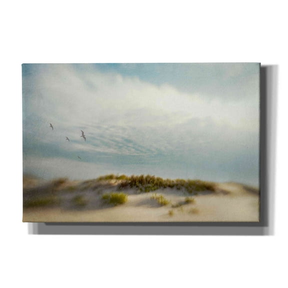Epic Graffiti 'Dunes 1' by Dawn D Hanna, Giclee Canvas Wall Art, 18"x12"
