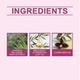 thumbnail image 4 of Cyperus Rotundus Oil - 60ml Natural Cyperus Rotundus Oil For Hair Removal, Moisturizing & Soothing Cyperus Oil For Reducing Body Hair Growth, 4 of 5
