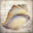 thumbnail image 2 of Medley, Elizabeth 15x15 White Modern Wood Framed Museum Art Print Titled - Beach Shell II, 2 of 4