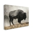 thumbnail image 3 of Stupell Industries Powerful Bison Grazing Foggy Rural Pasture Photography Photograph Gallery Wrapped Canvas Print Wall Art, Design by Danita Delimont, 3 of 7