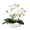 White, variant on Niceminiwall Artificial Orchid Bonsai 12 Flower Phalaenopsis 29cm 11.42in Tabletop Decor