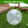 thumbnail image 2 of Miangastore Hamster Gerbil Exercise Ball Running Toy Jogging Ball Small Pet Activity Supply 2pcs, 2 of 8