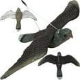 thumbnail image 1 of Faucon Épouvantail - Effrayer les Oiseaux, 1 of 5