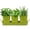 Green, variant on Plexon Herb Planter Indoor Garden Set of 3 with Tray, Metal Herb Pots for Indoor Plants, Round Kitchen Garden Kit Ideal for Windowsill Planter or Countertop, Off-White Powder Coated