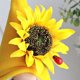 thumbnail image 2 of FLhrweasw Girasoles Felpa Sin Rostro Elfo Enano Tomte Muñeca Adornos (Amarillo), 2 of 9