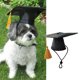 thumbnail image 4 of Billuyoard 2 uds sombrero de graduación para perros para mascotas elegantes ropa cómoda hecha con regalos de poliéster y algodón Memoriales de mascotas, 4 of 6