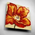 thumbnail image 2 of Epic Art 'Parrot Tulip I' by Tim O'Toole, Acrylic Glass Wall Art, 12"x12", 2 of 7