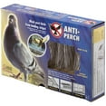 thumbnail image 1 of Anti-Perch Bird Repellent Strips, 1 of 1