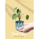 thumbnail image 4 of Succulent Planter Pots-3 Inch Small Ceramic Planters Plants Pots Mini Flower Vase for Indoor Plants, Gifts Set of 3, 4 of 4