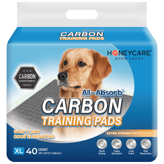 HONEY CARE All-Absorb Puppy Training Pads Dog Potty Pads Absorb Eliminating Urine Odor, Jumbo-Size Charcoal Puppy Pee Pad (Carbon, XL 28x34 inch, 40ct) A56