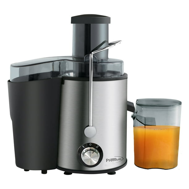 2Speed Stainless Steel Juice Extractor