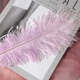 thumbnail image 3 of 10 Pack Multicolor Plumage Feathers for Wedding Party Centerpieces, Flower Arrangement, Home Decoration, and DIY Crafts, 3 of 3