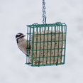 thumbnail image 4 of C & S Products EZ Fill Suet Basket - Hanging Green Bird Feeder - Outdoor Use, 4 of 6