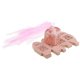 thumbnail image 5 of Cajas de dulces Zulema 50 Uds Bird Candy Cajas, 5 of 8