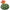 Green/Orange, variant on Mainstays 6.4" Artificial Teal Cactus with Pink Flow Pick