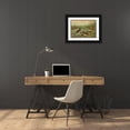 thumbnail image 3 of Johann Friedrich Naumann 24x18 Black Ornate Framed Double Matted Museum Art Print Titled: Colymbus Fluviatilis Tun., Little Rag Diver, 3 of 5