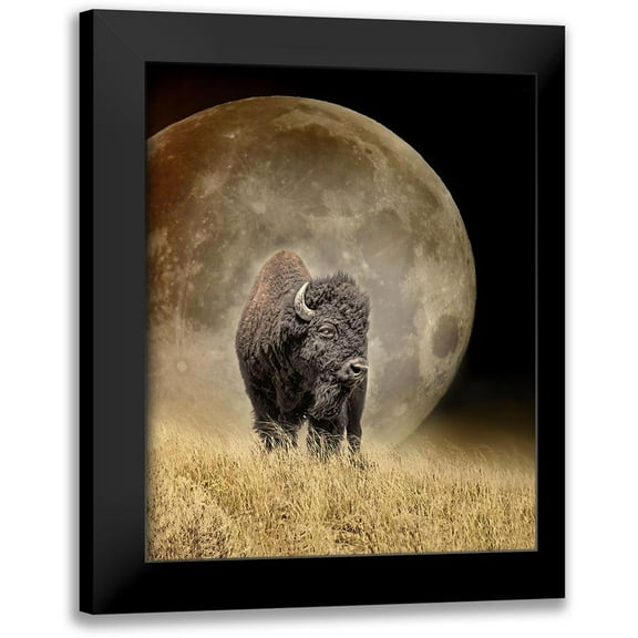 Schell, Jennie Marie 12x14 Black Modern Framed Museum Art Print Titled - Buffalo Bison and Moon