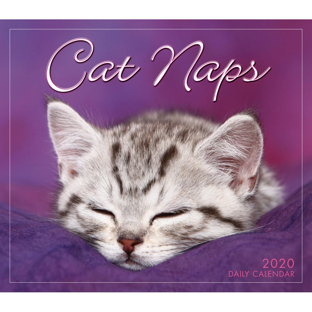 2020 Cat Naps Boxed Daily Calendar By Sellers Publishing (Other