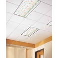 thumbnail image 2 of Fluorescent Light Covers for Ceiling Lights 4 Pack,Colorful Botanical Magnetic Ceiling Light Covers 2x4ft for Classroom Office School,Summer Floral Ethnic Geometric Abstract Drop Ceiling Light Shade, 2 of 7
