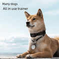 thumbnail image 3 of Cross-border New Dog Pet Collar Barking Stopper Anti-barking Electric Shock Collar Barking Stopper Waterproof Remote Control Dog Trainer, 3 of 6