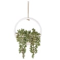 thumbnail image 1 of Injueey Decoración de plantas suculentas de alto grado de simulación de PVC que añade vida a las paredes, amantes de las lágrimas, plantas Decoración, 1 of 6