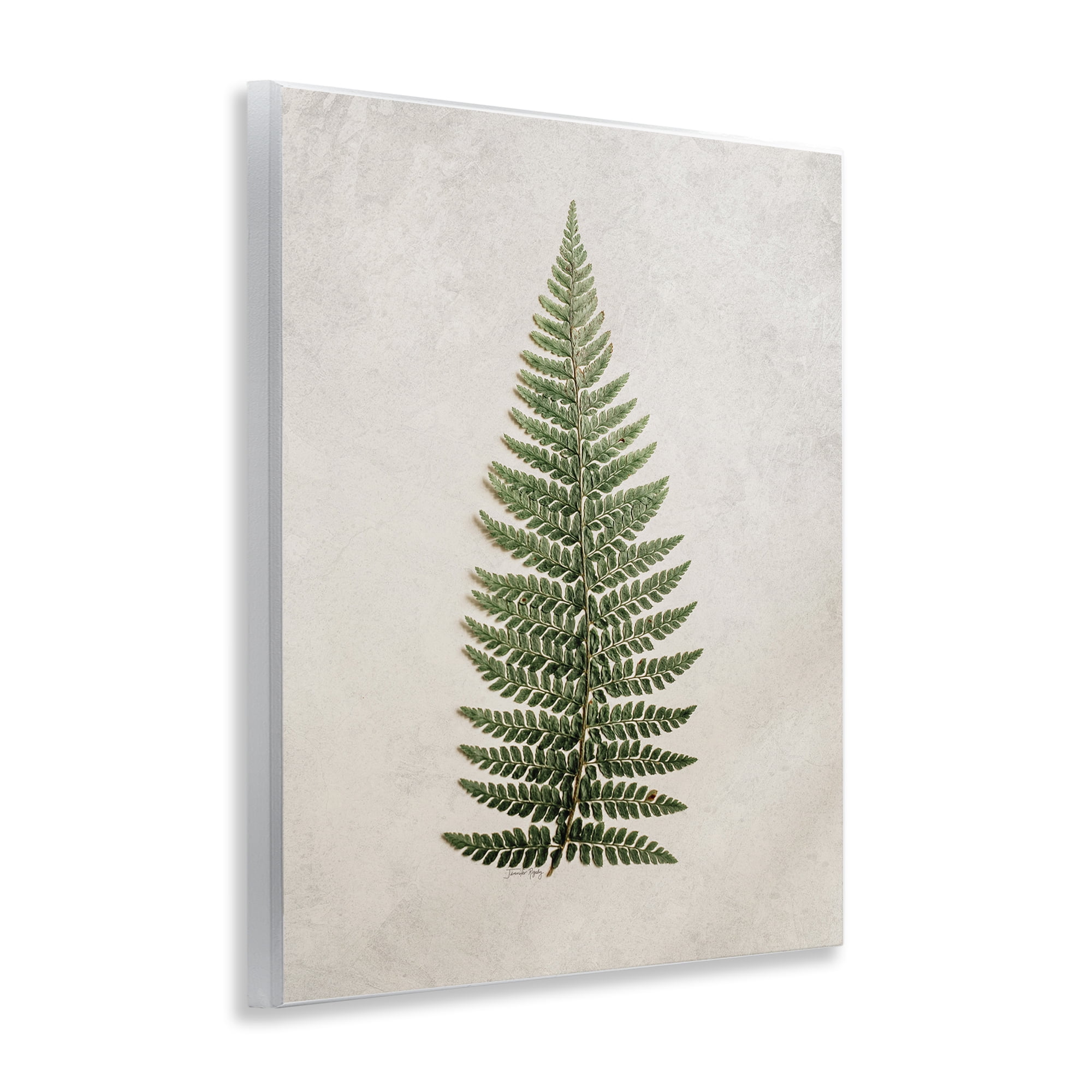 Stupell Industries Detailed Fern Leaf Botanical & Floral Painting Unframed Art Print Wall Art, 11 x 14